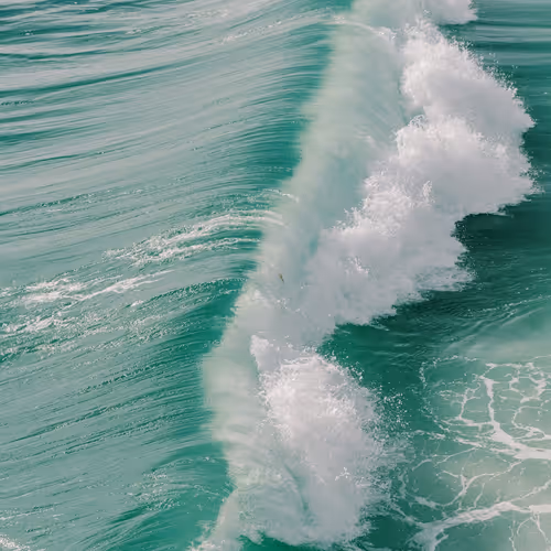 Attitudes are contagious