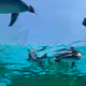 Zora Posts