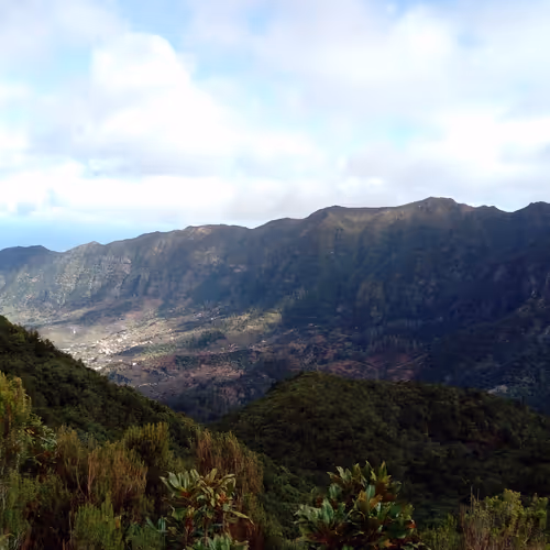 Picture from Madeira