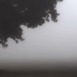 enjoy