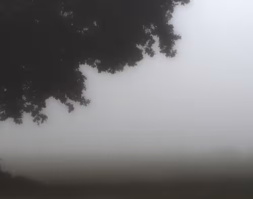 enjoy