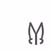 𐀔 Starter Packs 𐀔 Token of Completion
