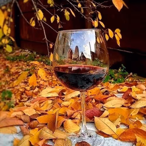 Autumn 2