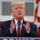 Donald Trump NFT Collection