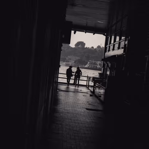 Silent Echoes: Veiled in Monochrome