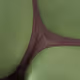 6529 Meme Labs