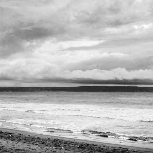 Cognitive Appropriations