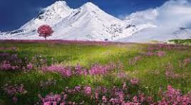 scenery