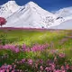 scenery