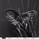 Electron Microscopy Images