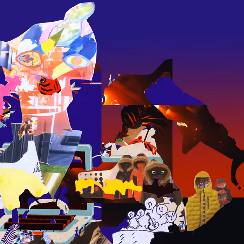 collage at large