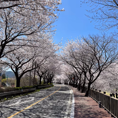 Bom Spring