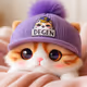 고양이