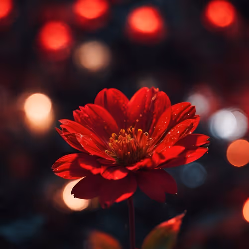 Red flower