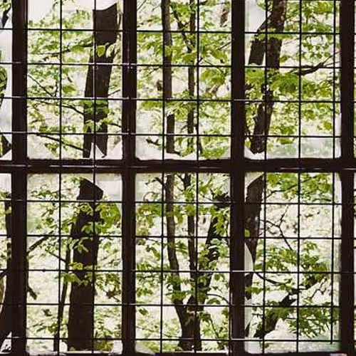 Lithuania Divx Mongolia