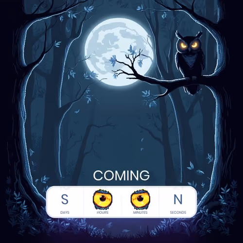 owlto.finance
