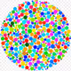 Zorb
