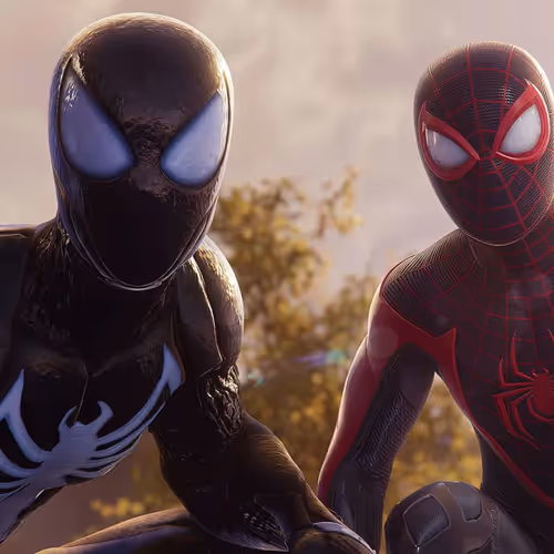 spiders