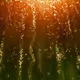 Synthetic Serenity: AI-Inspired Zen