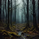 Dark forest