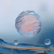 Fluid Zorb