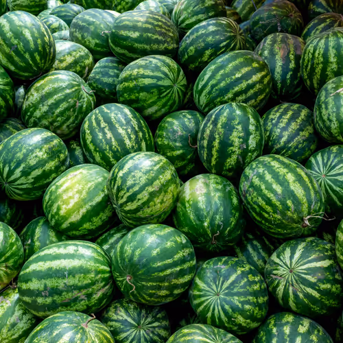 Watermelon
