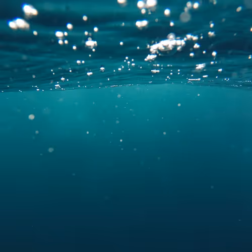 DreamDewdropDoodlerDream