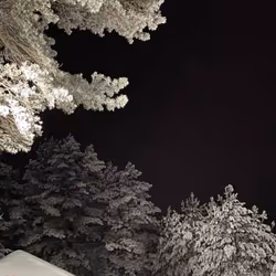 sky water green night