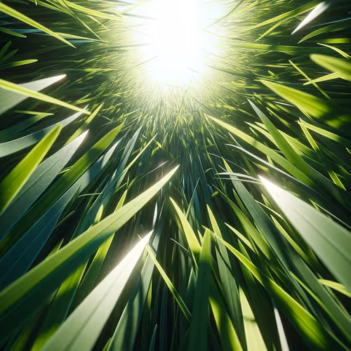 touching grass