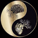 Heart and brain