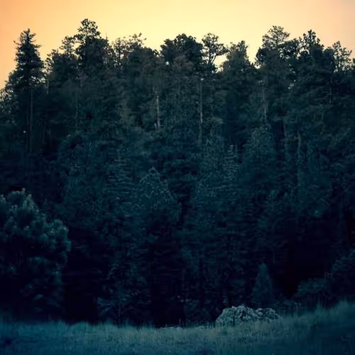 Collar Architect Application