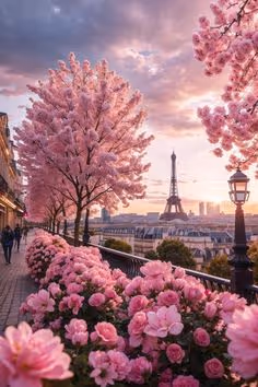 Fairytale Paris