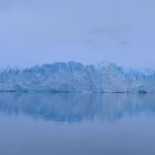 Sold Discipline Nickel