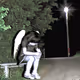 Surreal posts