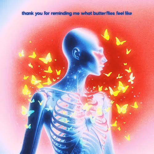 BUTTERFLIES