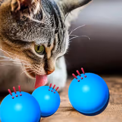 Enjoy the cat