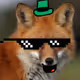 Irish Fox