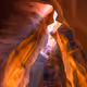 Directory Herbs