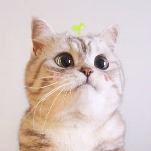 lovely animal