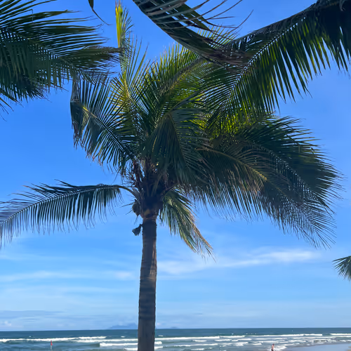 sea