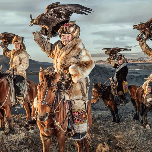 eagles
