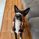 Fiona