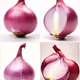 onion