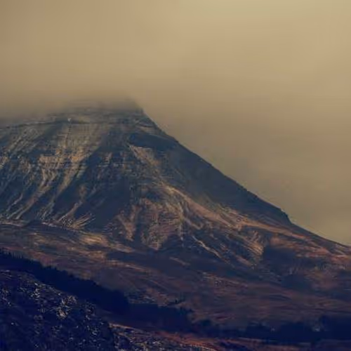 Specially Logged Can