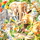 ANIMAL memecoin season