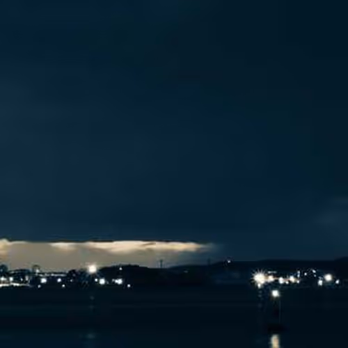 ANNOYED DOMESTIC DELAYED GAGS