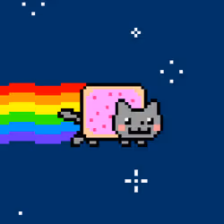 My Cat