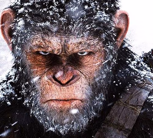 Apes together strong