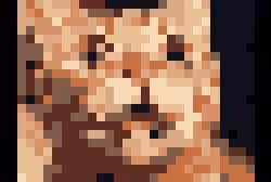 bobak_cat