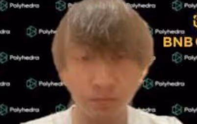 CEO POLYHEDRA